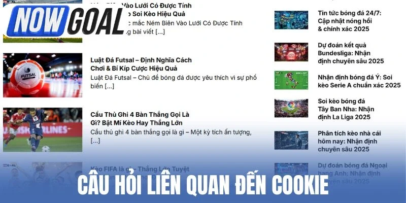 Câu hỏi liên quan đến Cookie