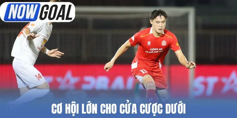 Cơ hội lớn cho cửa cược dưới
