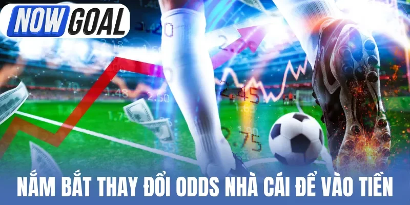 Nắm bắt thay đổi Odds nhà cái để vào tiền