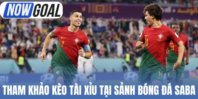 Tham khảo kèo Tài xỉu tại sảnh bóng đá Saba