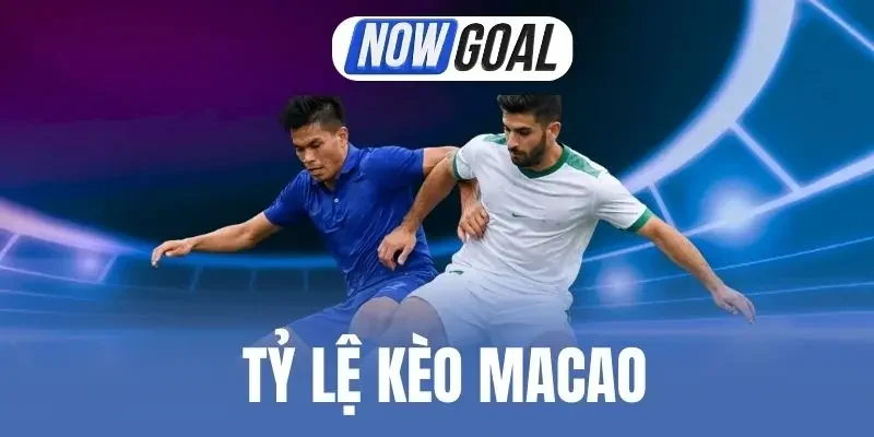 Tỷ Lệ Kèo Macao Là Gì? Hướng Dẫn Đọc Kèo Macao Dễ Hiểu
